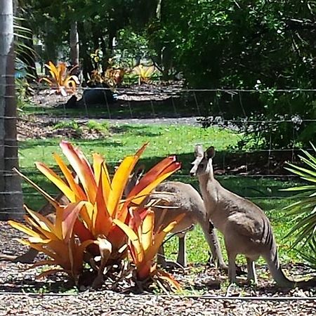 Bluegrass Bnb Bed & Breakfast Bundaberg Exterior foto